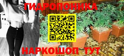 стаф Дубна