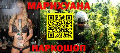 стаф Дубна