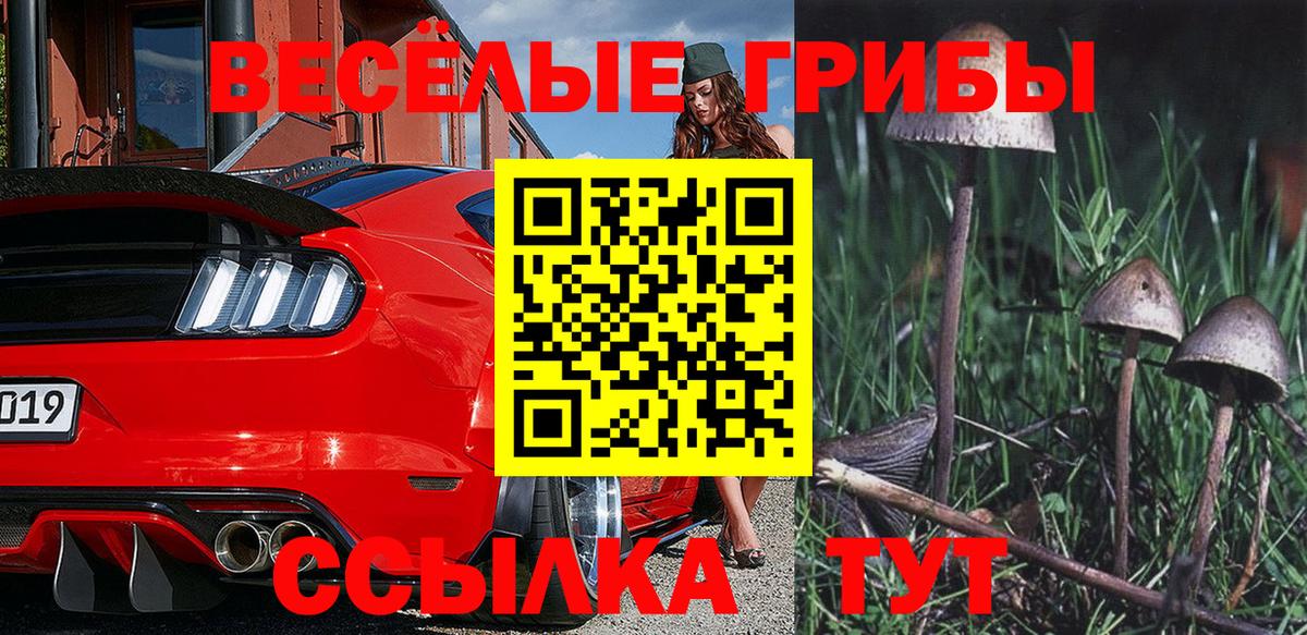 Галлюциногенные грибы MAGIC MUSHROOMS Мичуринск